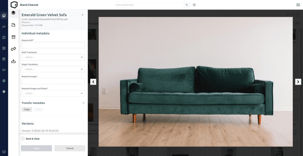 brand channel asset manager version control green couch