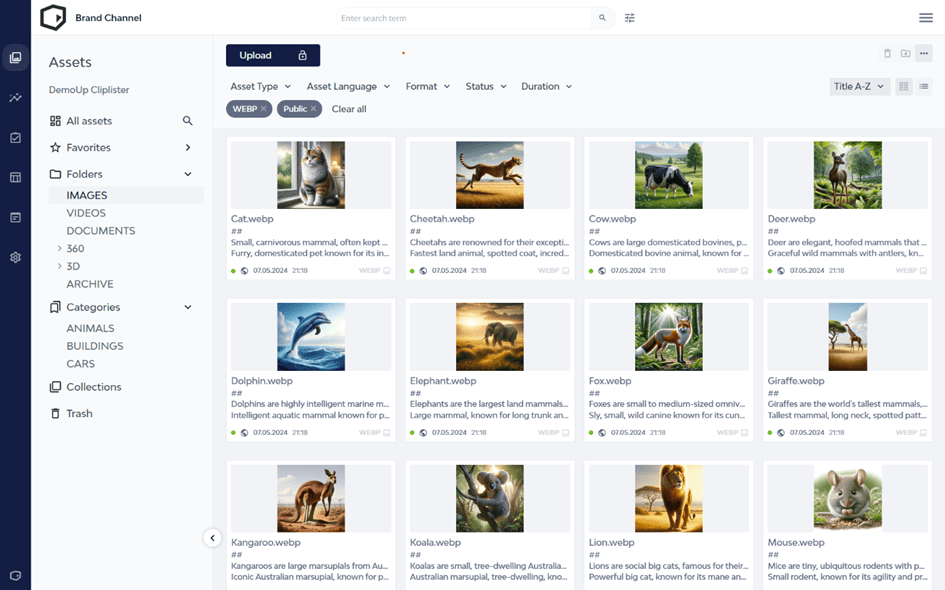 The DemoUp Cliplister DAM's Gallery View provides a quick and simple overview of your digital assets.