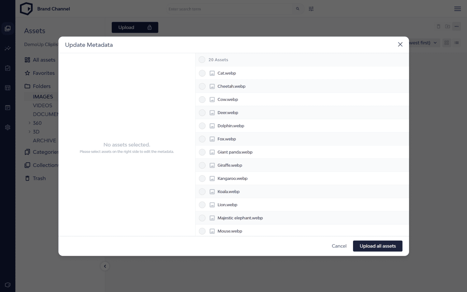 The update metadata interface in the DemoUp Cliplister brand channel.